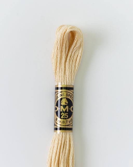 DMC Embroidery Stranded Thread - Six-Strand Embroidery Floss - 739 - Dune - HM Nabavian
