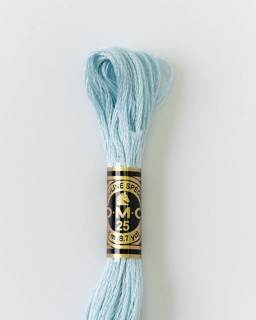 DMC Embroidery Stranded Thread - Six-Strand Embroidery Floss - 828 - Sea Air - HM Nabavian