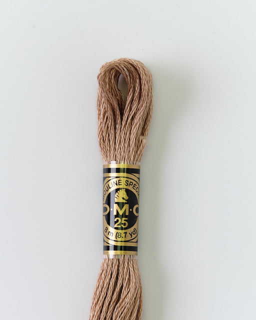 DMC Embroidery Stranded Thread - Six-Strand Embroidery Floss - 841 - Suede - HM Nabavian