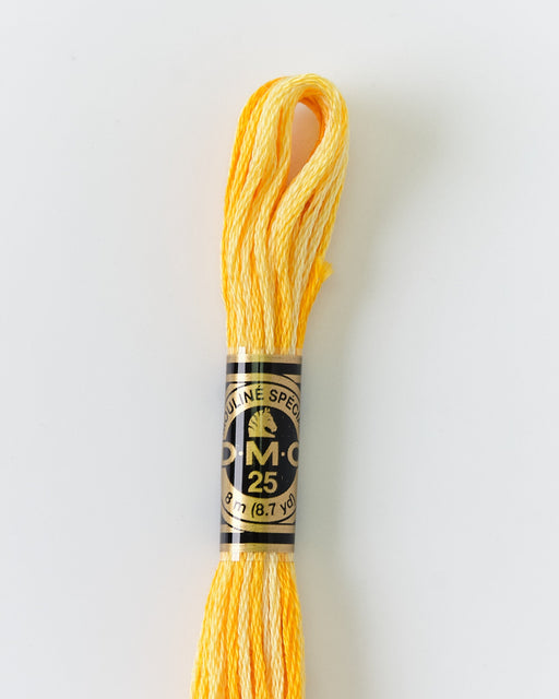 DMC Embroidery Stranded Thread - Six-Strand Embroidery Floss - 90 - Sunny Yellow Ombre - HM Nabavian
