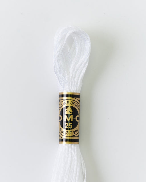 DMC Embroidery Stranded Thread - Six-Strand Embroidery Floss - B5200 - Pearlescent White Light - HM Nabavian