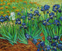 DMC Floss "Irises" Bundle - Inspired by Van Gogh - HM Nabavian