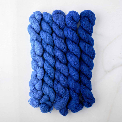Appletons Wool Yarn - Royal Blue 821-825 - HM Nabavian