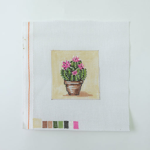 Baby Cactus with Pink Flowers - Hand Painted Needlepoint Canvas - HM Nabavian