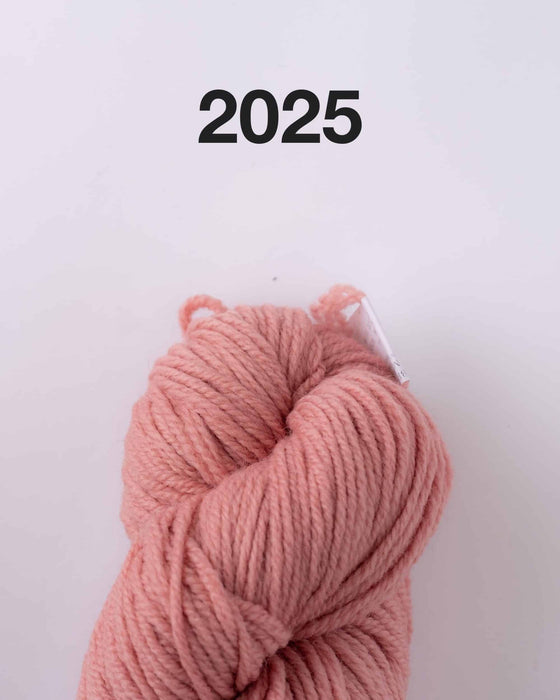 نخ سوزن پشمی ویورلی - 2021-2026