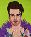 Appletons Kits – Portraits Range Harry Styles - HM Nabavian