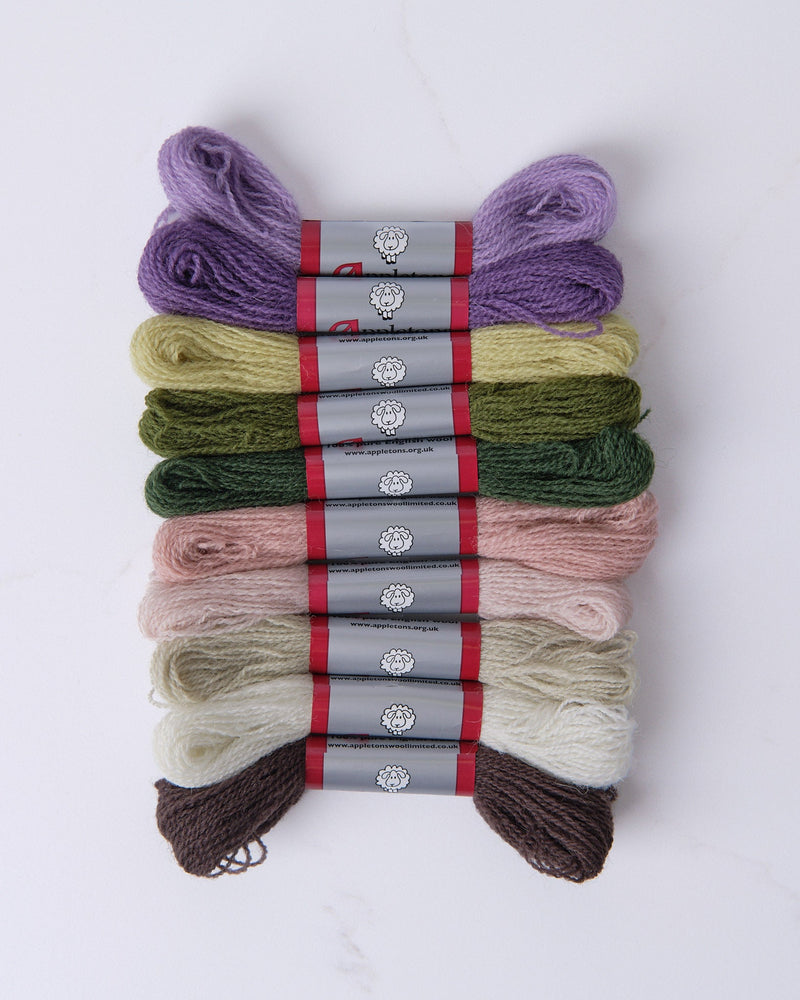 Autumn - Appeltons Crewel Wool 2 Ply Bundle - HM Nabavian