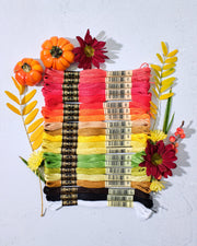 DMC 6 Strand Floss - Halloween Bundle - HM Nabavian