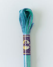DMC Embroidery Stranded Thread - Color Variations - 4030 - Warm Seas - HM Nabavian