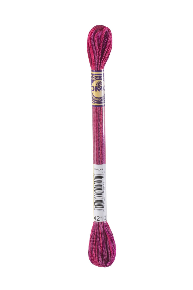 DMC Embroidery Stranded Thread - Color Variations - 4210 - A Night at the Opera - HM Nabavian