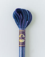 DMC Embroidery Stranded Thread - Color Variations - 4240 - Starry Night - HM Nabavian