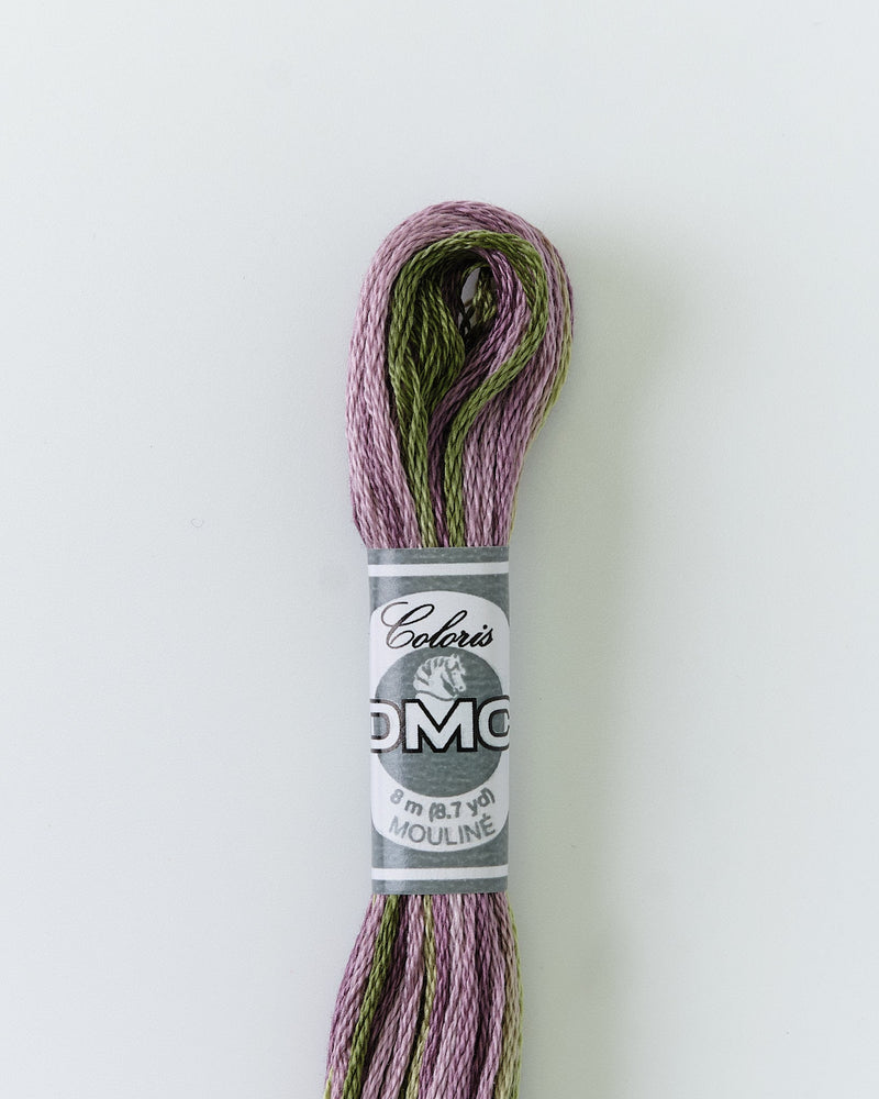 DMC Embroidery Stranded Thread - Coloris - 4505 - Highland Moors - HM Nabavian