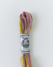 DMC Embroidery Stranded Thread - Coloris - 4509 - Rose Bouquet - HM Nabavian