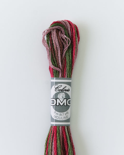 DMC Embroidery Stranded Thread - Coloris - 4518 - Woodland Riot - HM Nabavian