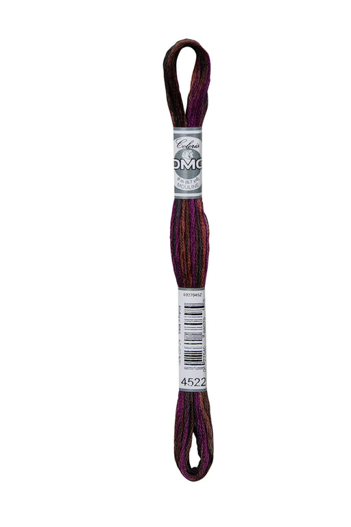 DMC Embroidery Stranded Thread - Coloris - 4522 - Opulent Twist - HM Nabavian