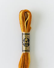 DMC Embroidery Stranded Thread - Six-Strand Embroidery Floss - 111 - Burnt Savannah Ombre - HM Nabavian