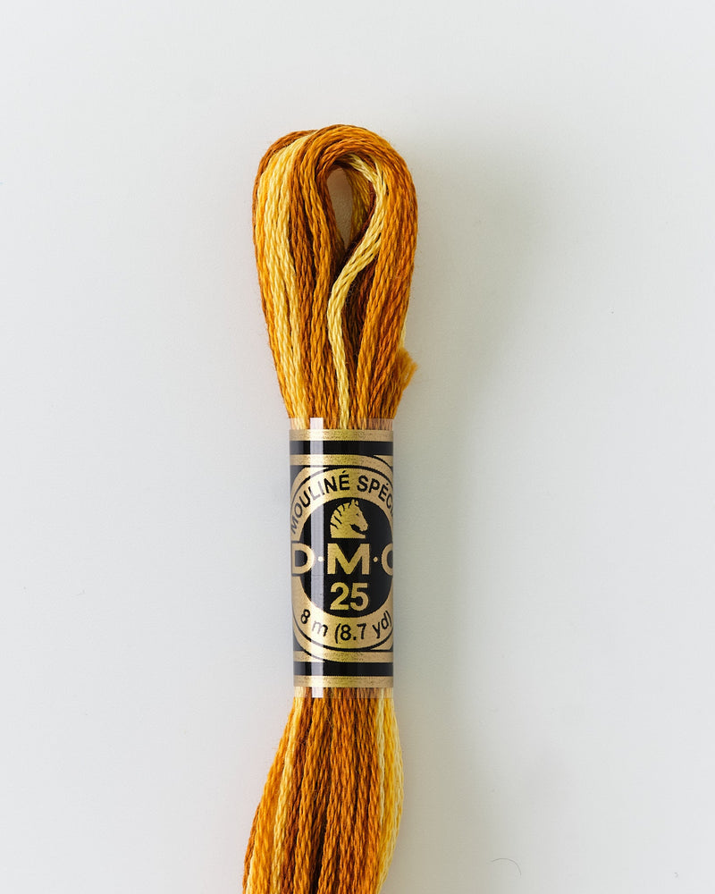 DMC Embroidery Stranded Thread - Six-Strand Embroidery Floss - 111 - Burnt Savannah Ombre - HM Nabavian