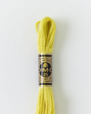 DMC Embroidery Stranded Thread - Six-Strand Embroidery Floss - 12 - Citrus Yellow - HM Nabavian