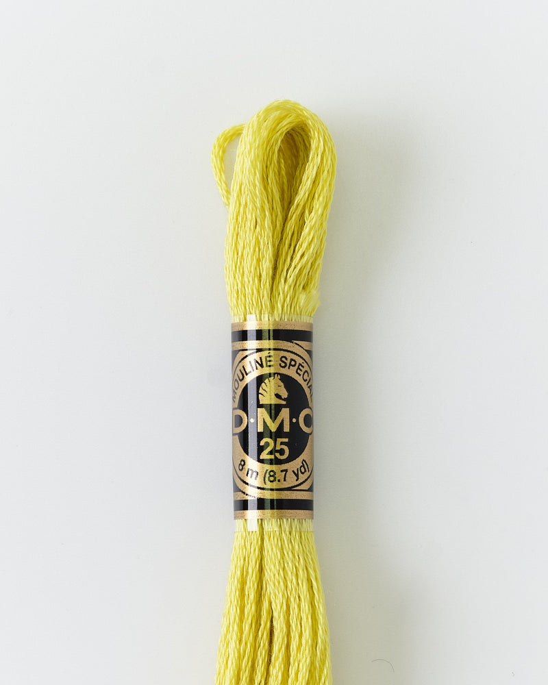 DMC Embroidery Stranded Thread - Six-Strand Embroidery Floss - 12 - Citrus Yellow - HM Nabavian