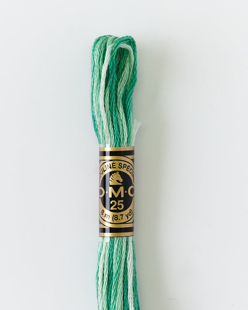 DMC Embroidery Stranded Thread - Six-Strand Embroidery Floss - 125 - Spring Green Ombre - HM Nabavian