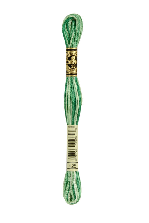 DMC Embroidery Stranded Thread - Six-Strand Embroidery Floss - 125 - Spring Green Ombre - HM Nabavian