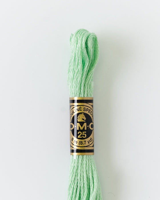 DMC Embroidery Stranded Thread - Six-Strand Embroidery Floss - 13 - Spearmint - HM Nabavian