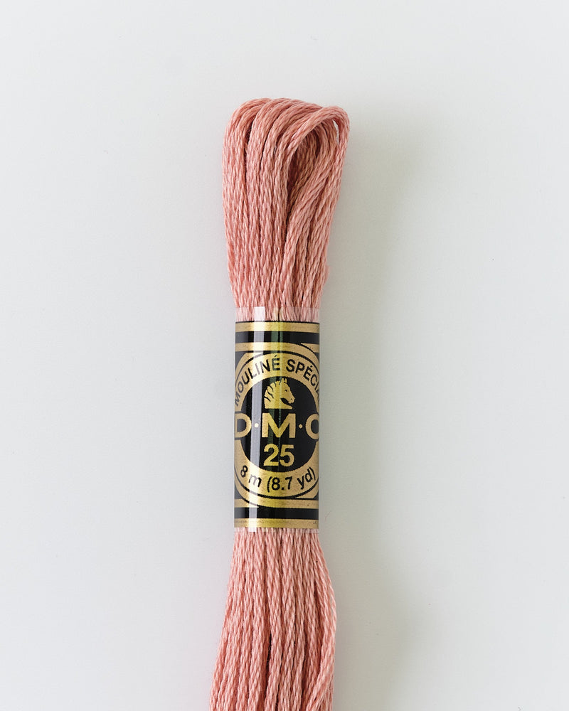 DMC Embroidery Stranded Thread - Six-Strand Embroidery Floss - 152 - Old Pink - HM Nabavian