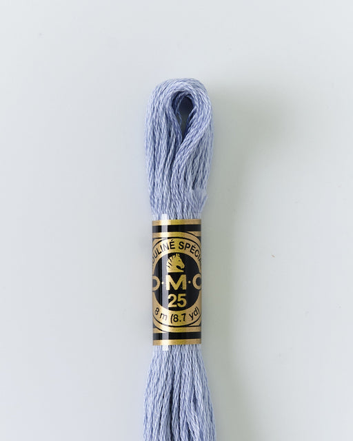 DMC Embroidery Stranded Thread - Six-Strand Embroidery Floss - 159 - Stormy Sky - HM Nabavian