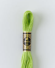 DMC Embroidery Stranded Thread - Six-Strand Embroidery Floss - 16 - Sprout - HM Nabavian