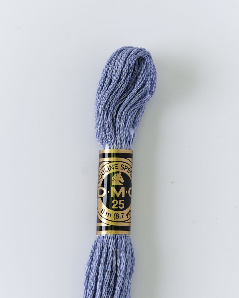 DMC Embroidery Stranded Thread - Six-Strand Embroidery Floss - 160 - Stormy Blue - HM Nabavian