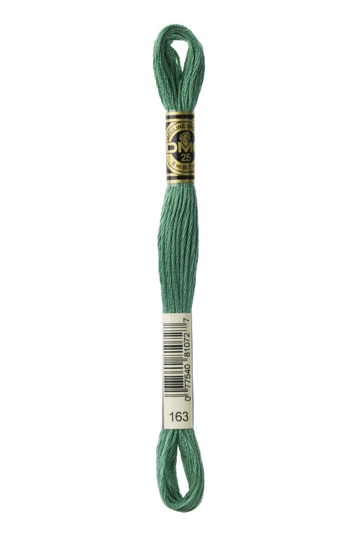 DMC Embroidery Stranded Thread - Six-Strand Embroidery Floss - 163 - Eucalyptus - HM Nabavian