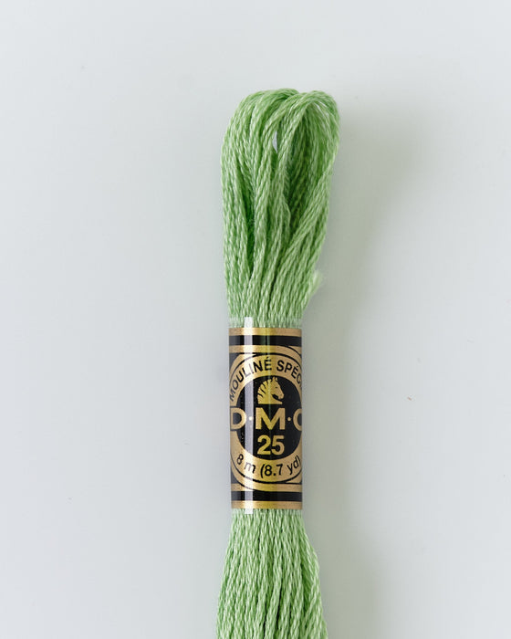 DMC Embroidery Stranded Thread - Six-Strand Embroidery Floss - 164 - Pistachio - HM Nabavian