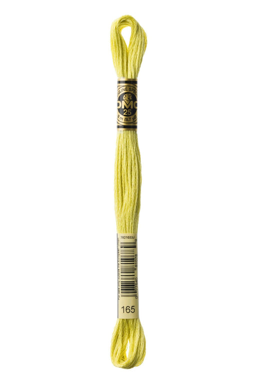 DMC Embroidery Stranded Thread - Six-Strand Embroidery Floss - 165 - Linden Green - HM Nabavian