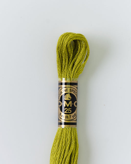 DMC Embroidery Stranded Thread - Six-Strand Embroidery Floss - 166 - Wormwood Green - HM Nabavian