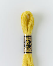 DMC Embroidery Stranded Thread - Six-Strand Embroidery Floss - 17 - Maize - HM Nabavian