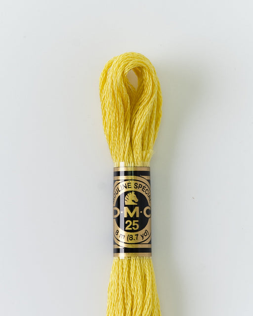 DMC Embroidery Stranded Thread - Six-Strand Embroidery Floss - 17 - Maize - HM Nabavian