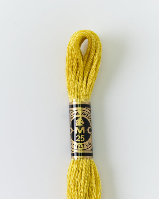 DMC Embroidery Stranded Thread - Six-Strand Embroidery Floss - 18 - Corn - HM Nabavian