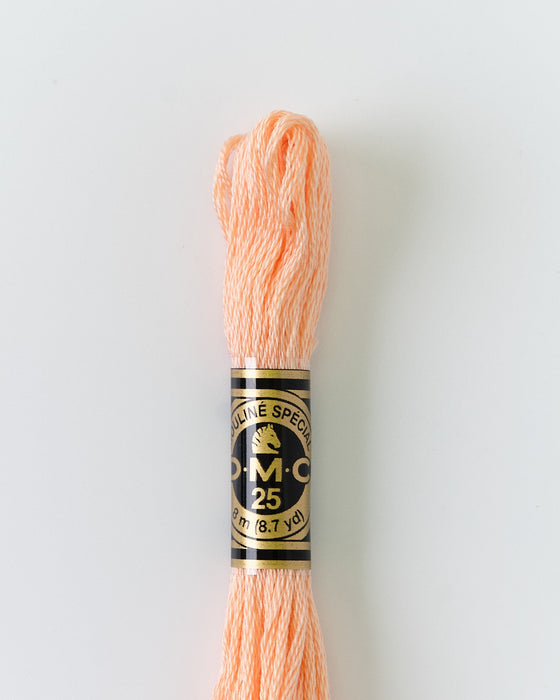 DMC Embroidery Stranded Thread - Six-Strand Embroidery Floss - 20 - Peach - HM Nabavian