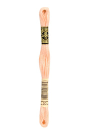 DMC Embroidery Stranded Thread - Six-Strand Embroidery Floss - 20 - Peach - HM Nabavian