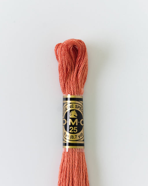 DMC Embroidery Stranded Thread - Six-Strand Embroidery Floss - 21 - Prosciutto - HM Nabavian