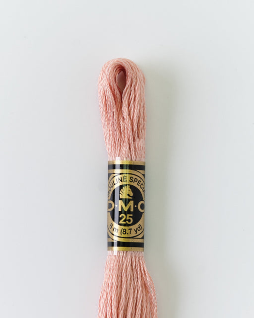 DMC Embroidery Stranded Thread - Six-Strand Embroidery Floss - 224 - Earthworm - HM Nabavian