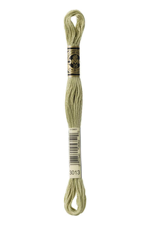 DMC Embroidery Stranded Thread - Six-Strand Embroidery Floss - 3013 - Green Oyster - HM Nabavian