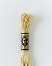 DMC Embroidery Stranded Thread - Six-Strand Embroidery Floss - 3047 - Sawdust - HM Nabavian