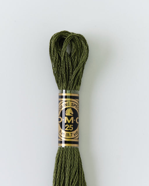 DMC Embroidery Stranded Thread - Six-Strand Embroidery Floss - 3051 - Forest Green - HM Nabavian