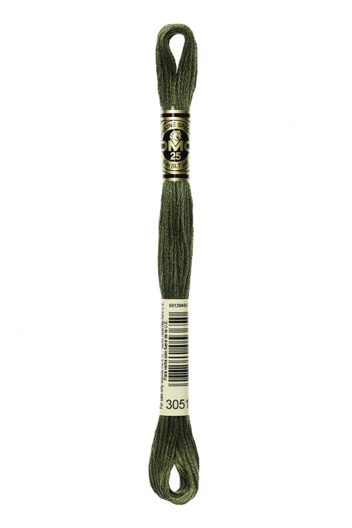 DMC Embroidery Stranded Thread - Six-Strand Embroidery Floss - 3051 - Forest Green - HM Nabavian