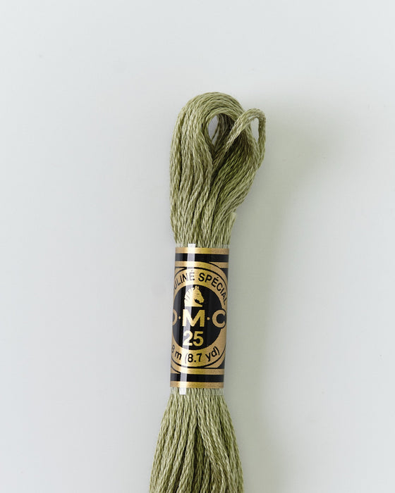 DMC Embroidery Stranded Thread - Six-Strand Embroidery Floss - 3053 - Avocado - HM Nabavian