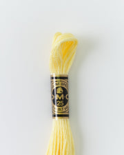 DMC Embroidery Stranded Thread - Six-Strand Embroidery Floss - 3078 - Buttermilk - HM Nabavian