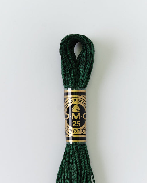 DMC Embroidery Stranded Thread - Six-Strand Embroidery Floss - 319 - Shaded Green - HM Nabavian