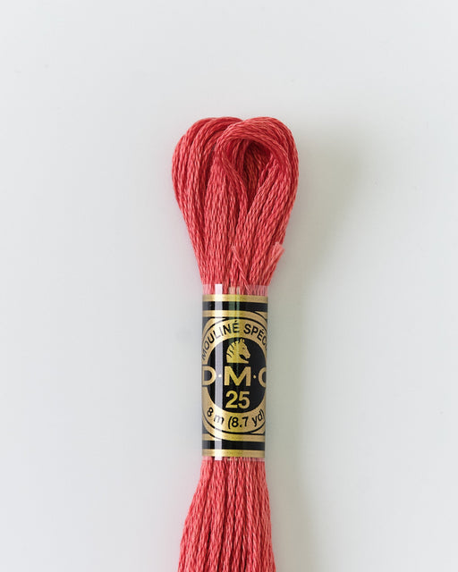 DMC Embroidery Stranded Thread - Six-Strand Embroidery Floss - 3328 - Amaranth - HM Nabavian