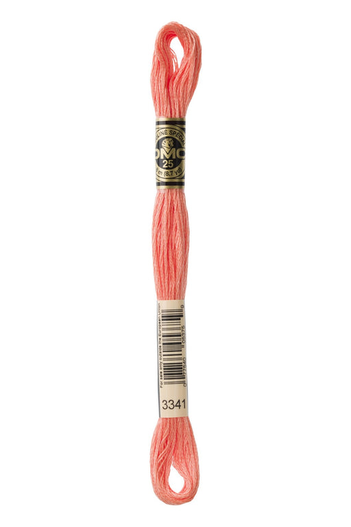 DMC Embroidery Stranded Thread - Six-Strand Embroidery Floss - 3341 - Kitten’s Nose - HM Nabavian